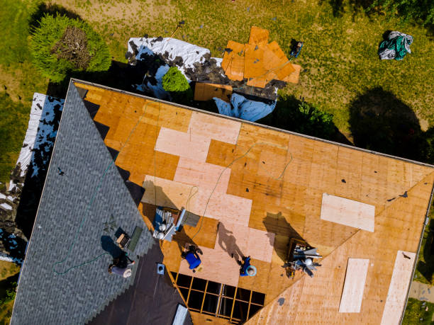 Best Roof Maintenance Services  in Sullivan City, TX